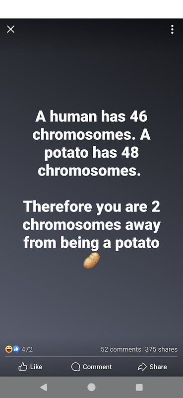 Screenshot-20250310-110036.png