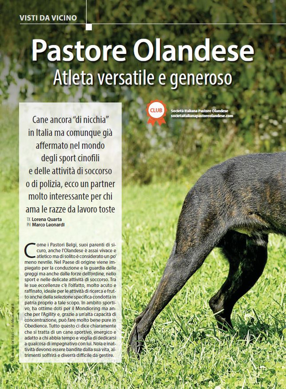 Il M C Apr-Mag 2023 (11)