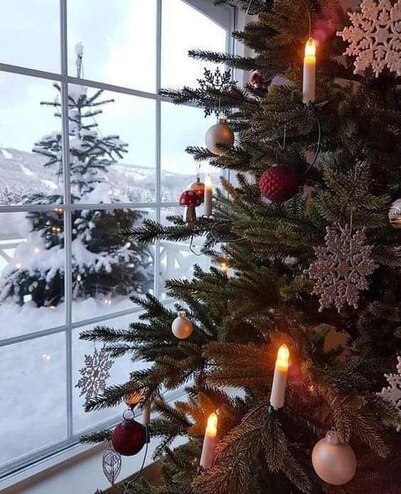 Christmas-Tree-inside-outside