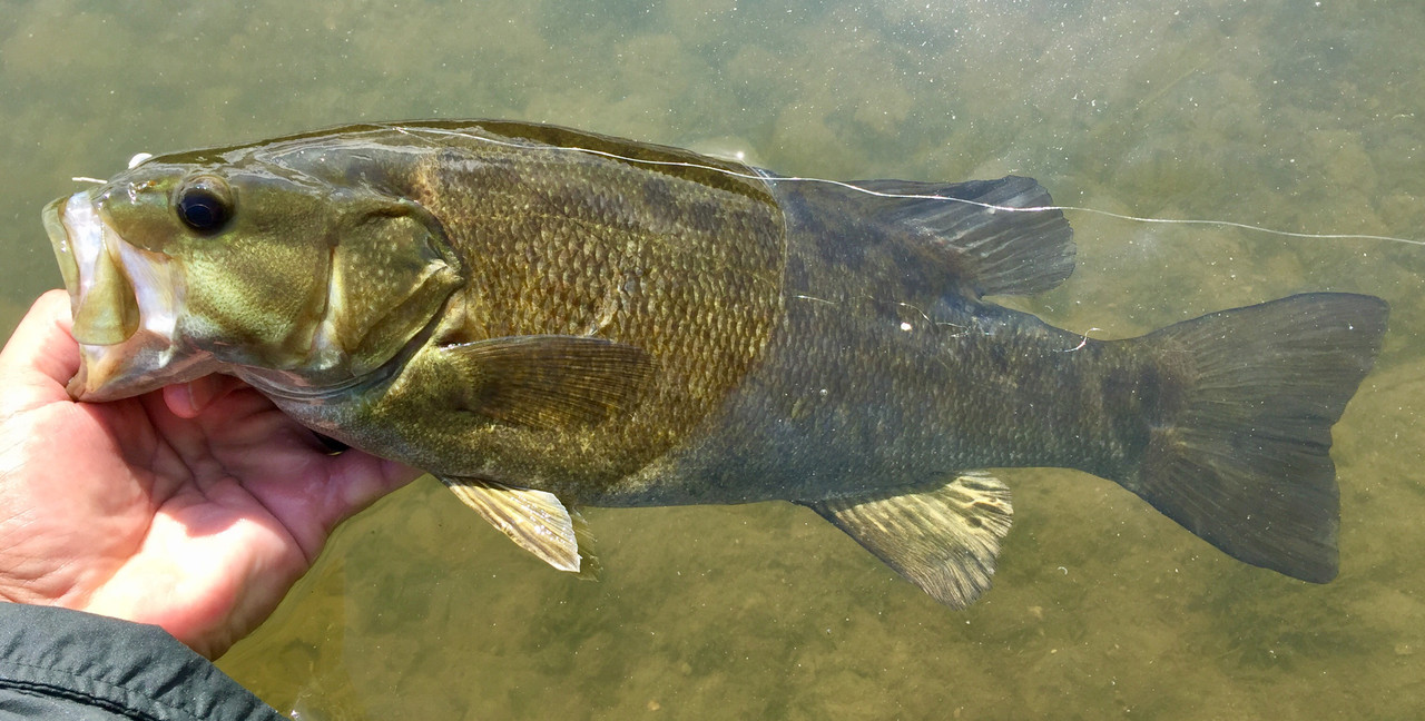 13EDE75A-CFF1-4320-9151-71E56A36D15B