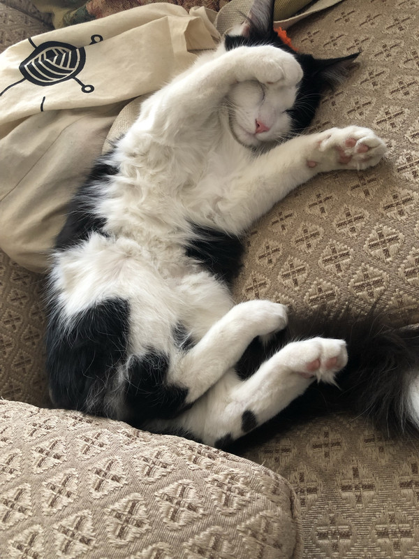 B2D1EF9C-3905-421D-88DF-B43EA438C0A1