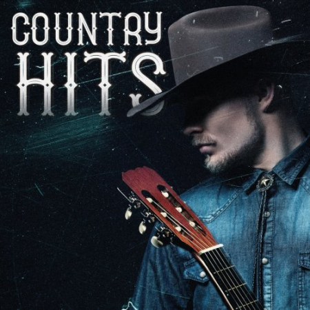 VA - Country Hits (2017) FLAC