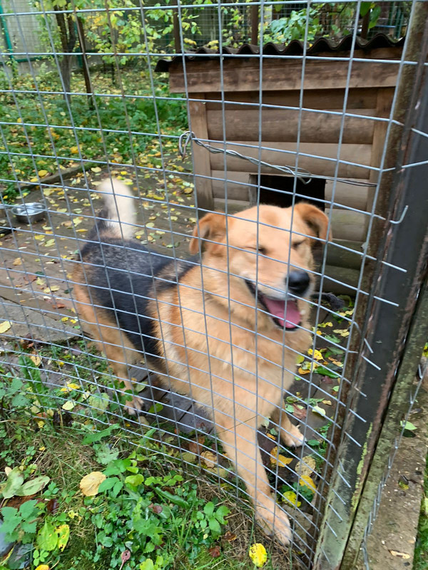 040479E9-356E-48C0-B734-BDC46E2CF55E