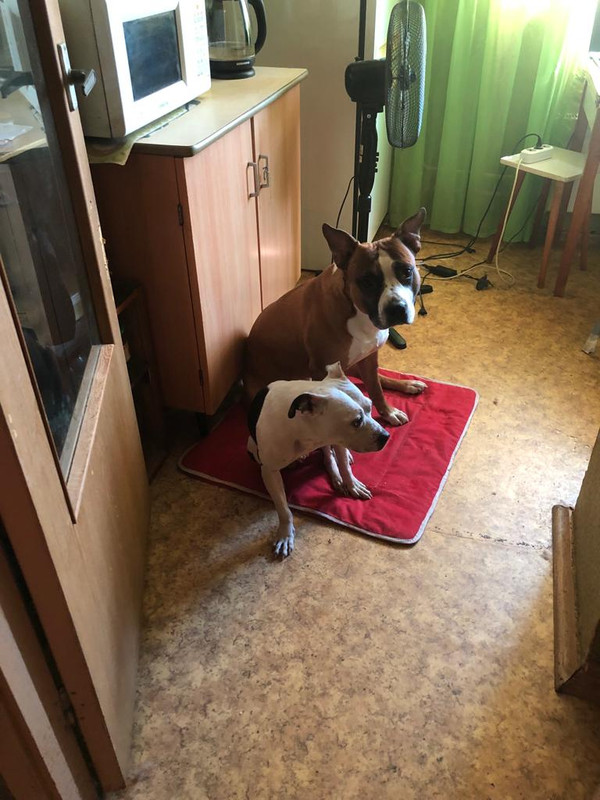 WhatsApp Image 2022-06-24 at 15.54.19 (1)