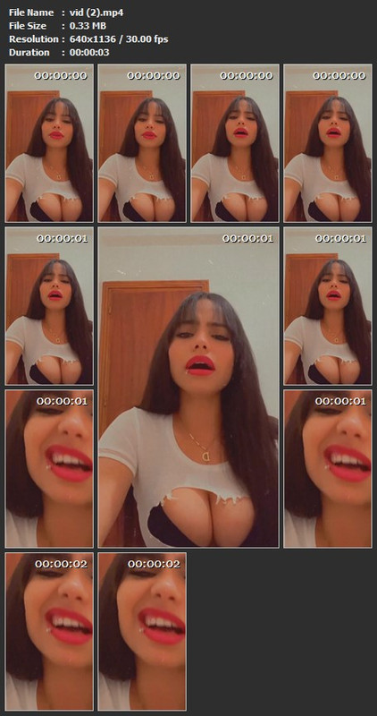 vid (2).mp4