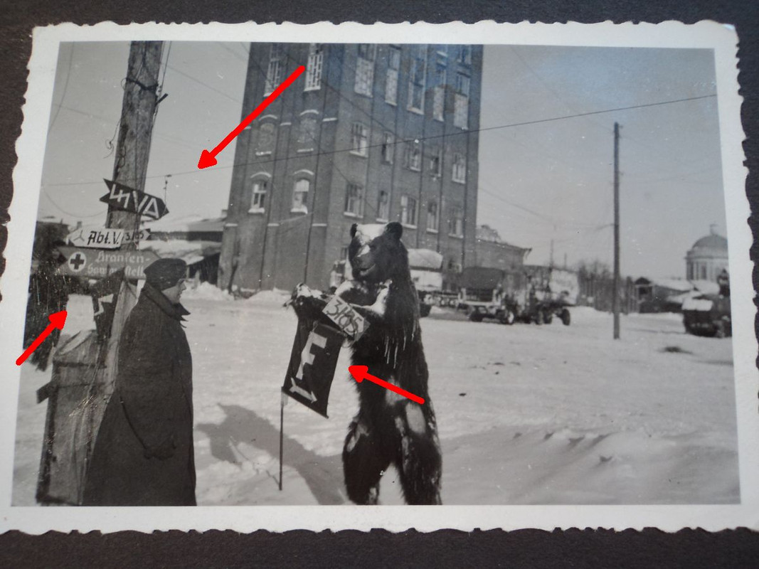 ()()()()()()()()()()