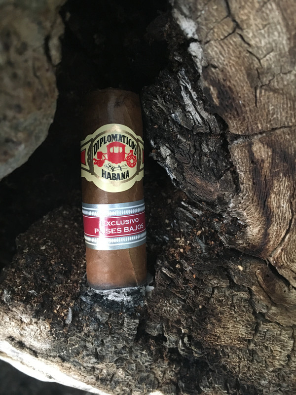 C88ACC5B-ABB1-4D11-828B-C91152628047