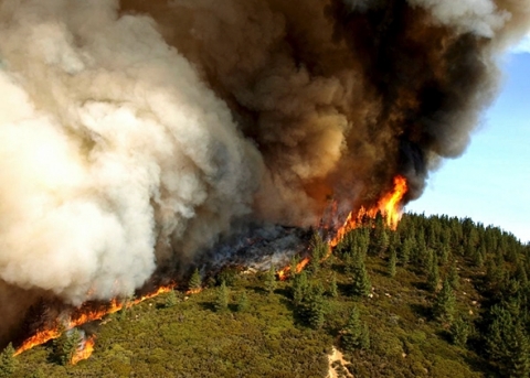 [Imagine: FOTO-17-000-de-pompieri-n-lupt-cu-incendiile.jpg]
