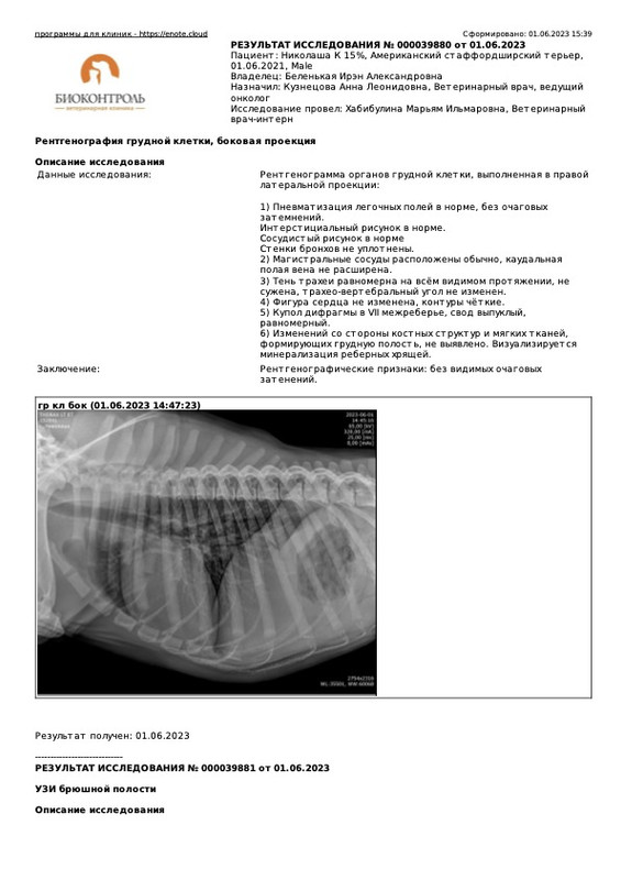 Результаты анализов Николаша К 15% (Николаша К 15%)