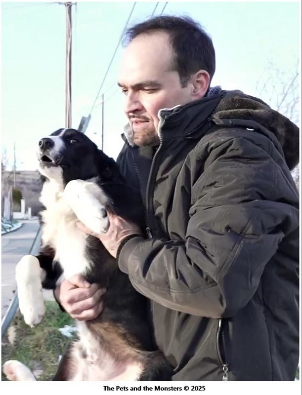 The Pets and the Monsters 11