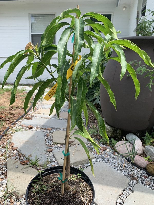 F13FB3D8-745B-49D5-A32F-0EE9438776A5