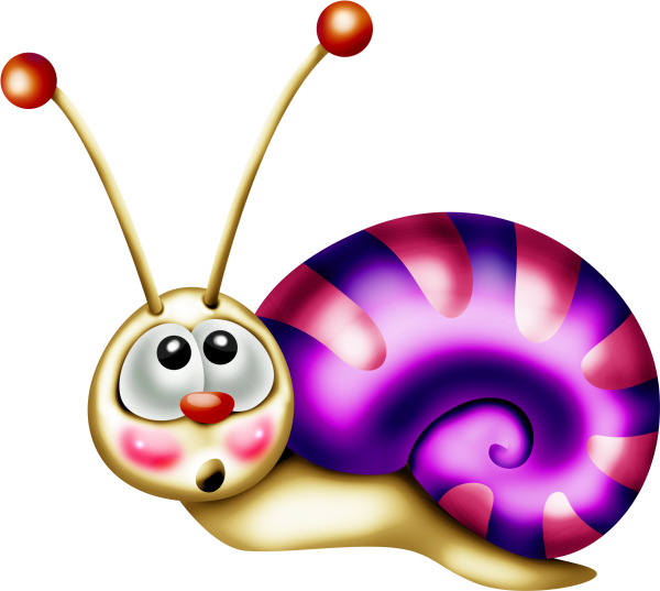 Beetle dance34