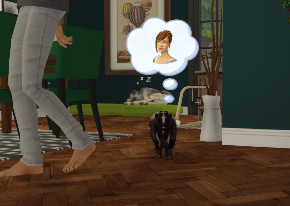 Sims2-EP9-RPC-2021-11-27-21-13-51-85