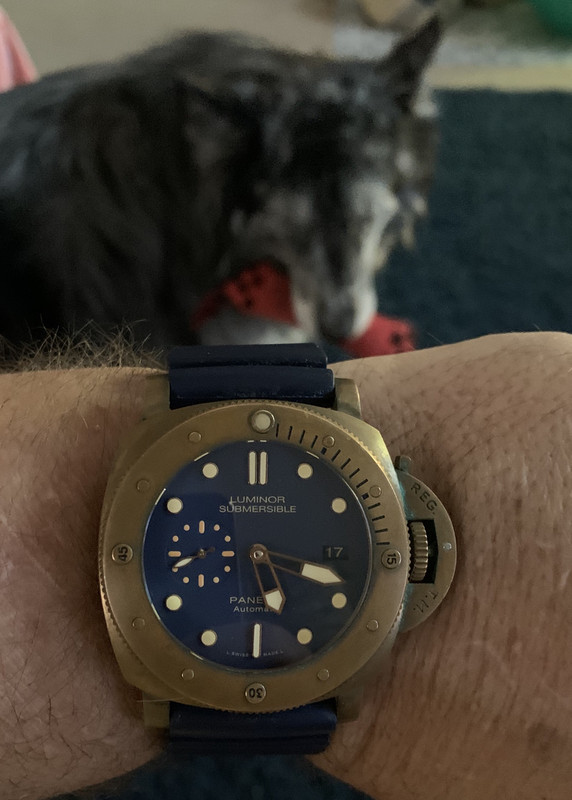 874C1F91-B3C9-4DD9-8D05-B8436C61DB1F