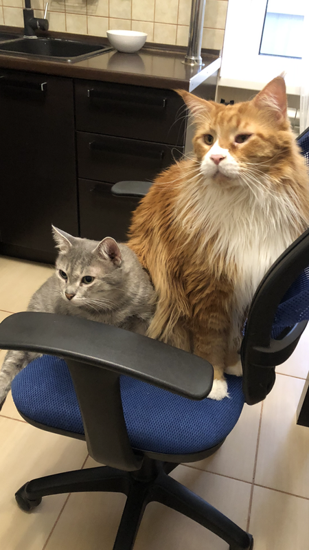 1F59297C-42AB-4CF3-BD2C-977372D179C0