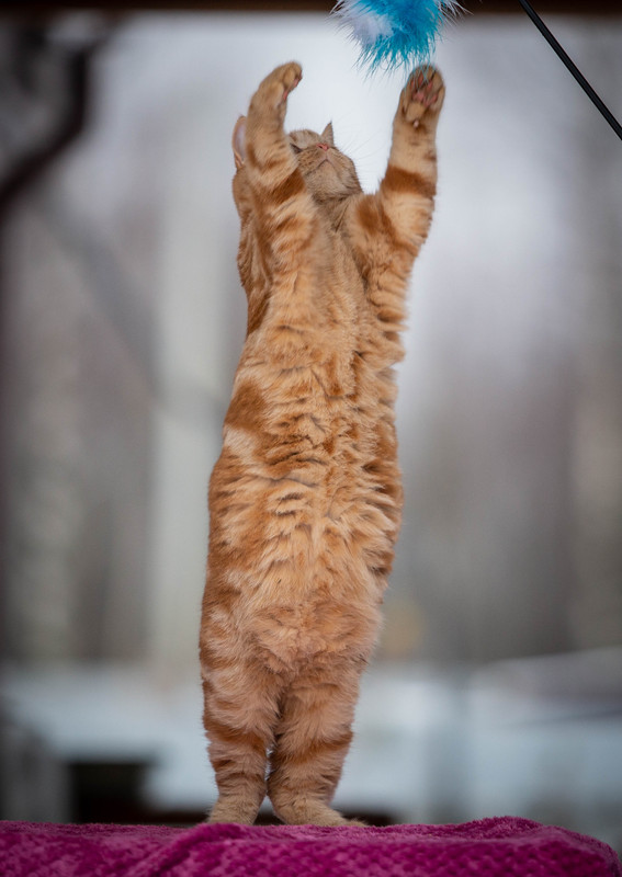 --------------.......... (1 из 1)