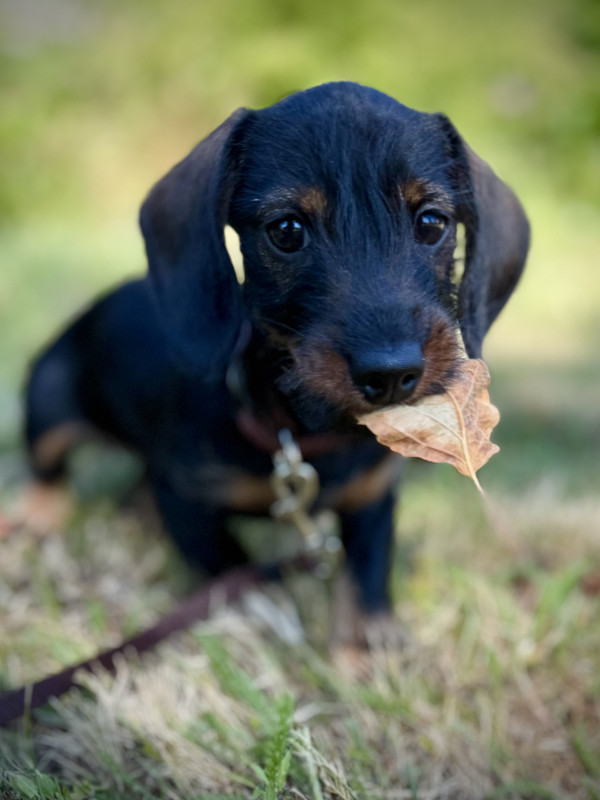 [Image: IMG-1883.jpg]