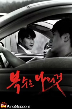 Sympathy for Mr. Vengeance (2002)