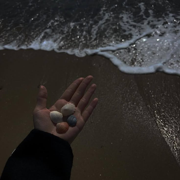 3075ccafea02fe28d95019bcb74407ee
