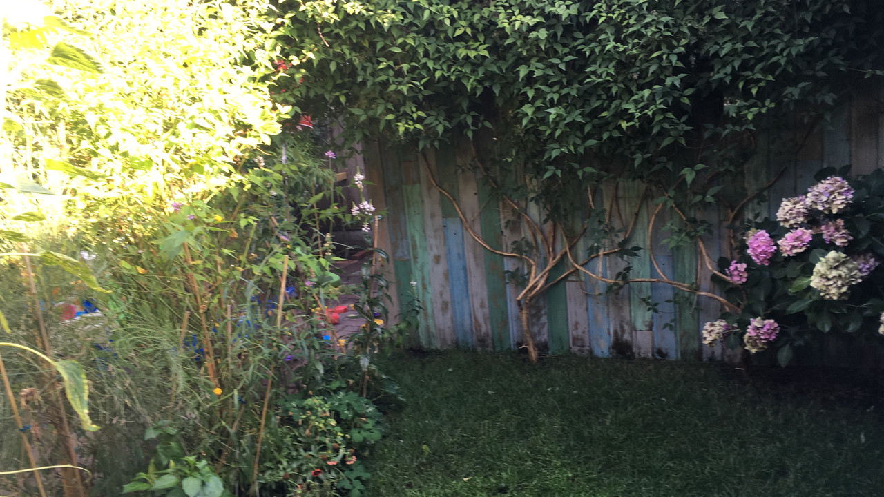 F73E8E4F-0362-4941-A1DC-BEC66FAC99A4