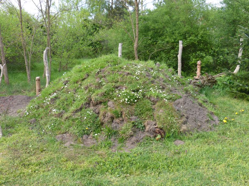 2014-04-20 Gräserbeet8