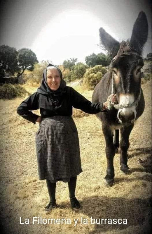 La Filomena y la burrasca