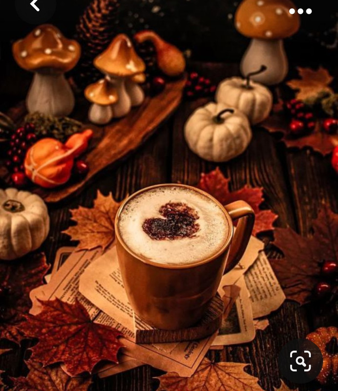 Screenshot_20231008_215231_Pinterest