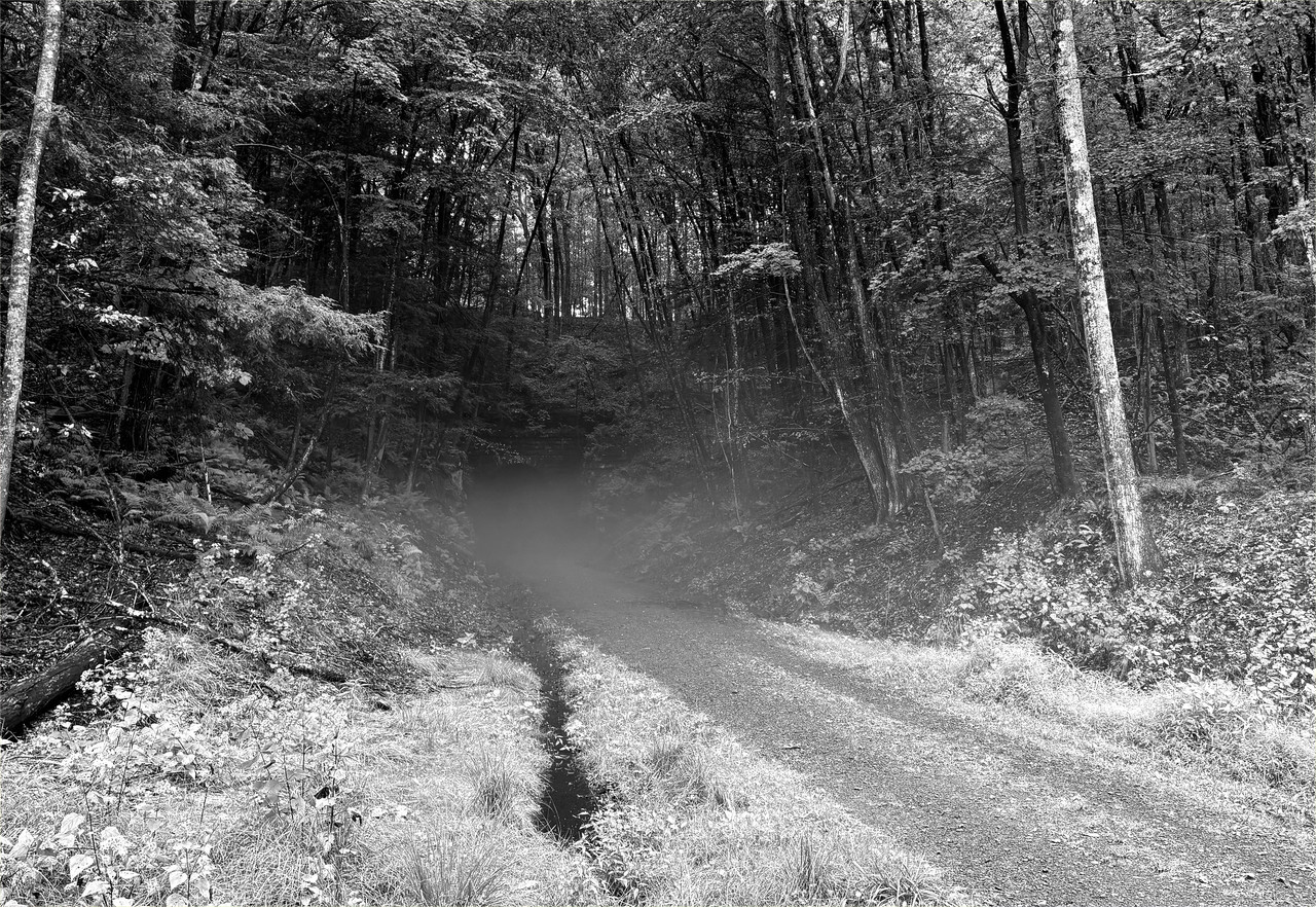 September-1st-26bw