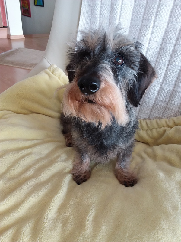 [Image: 20210312-111018.jpg]