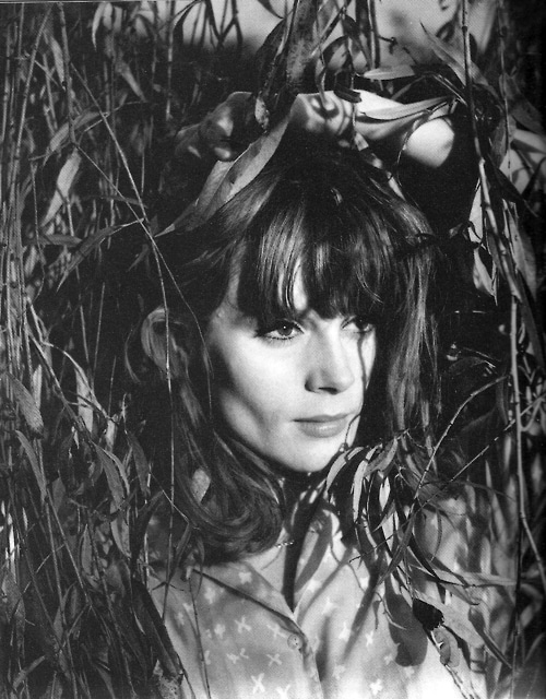 francoise_dorleac_za54