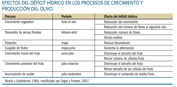 Cómo aumentar el rendimiento graso de la aceituna Lipogenesis