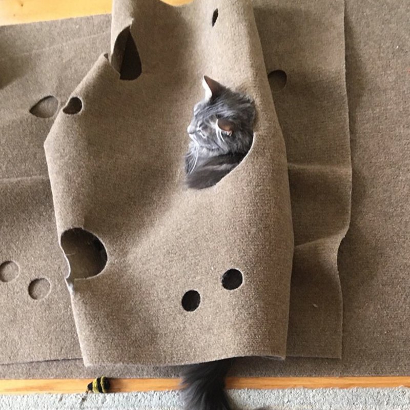 Ripple rug