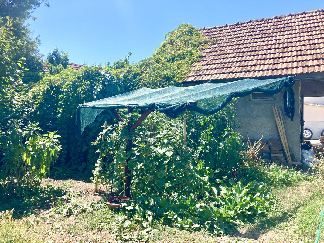 F33948CD-F9AD-4F50-843B-45C248FA6C6F