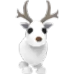 Arctic Reindeer