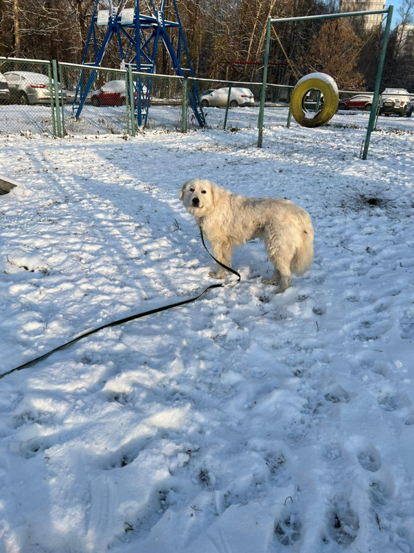 9A2DC2B6-0F38-4830-929E-74BE237E7F47