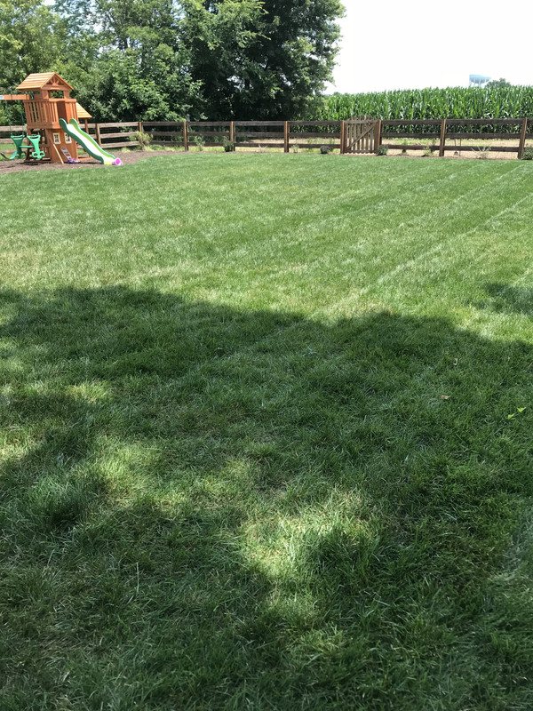 6CEDC169-071F-41F5-9CCF-6EED376ECE61