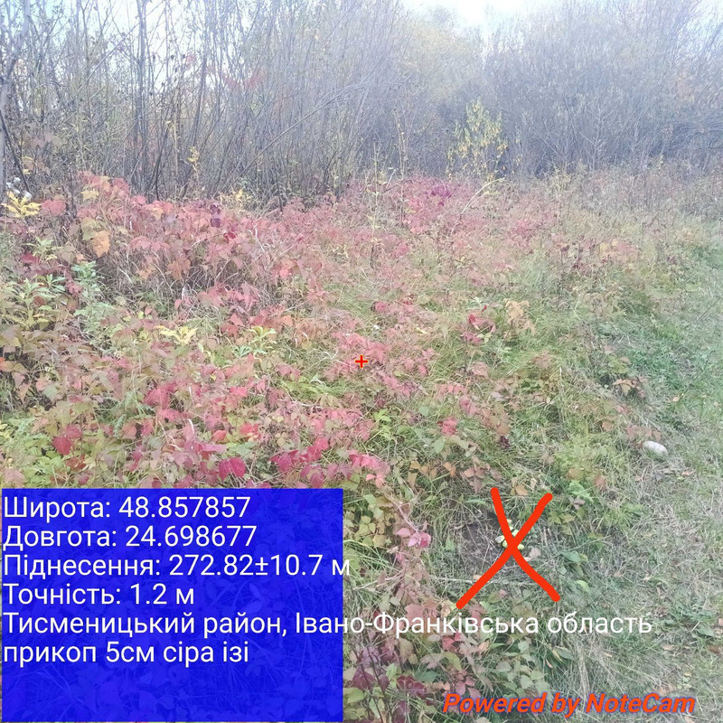 8bcd4f96106441153cbb9769c5fb3ed70033