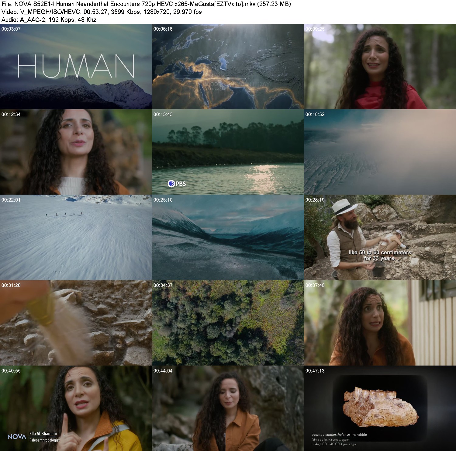 [Image: eo0ir1v3bgv6.jpg]