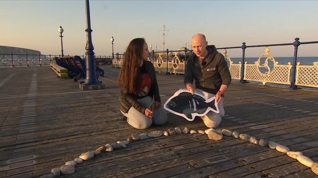 [Image: 1pq0s7jd6rky.jpg]