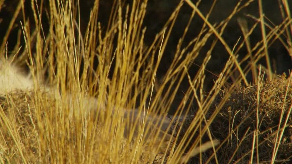 [Image: 5onn81cykyd1.jpg]