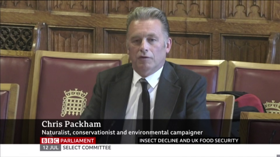 [Image: e78n7hkxq9wx.png]