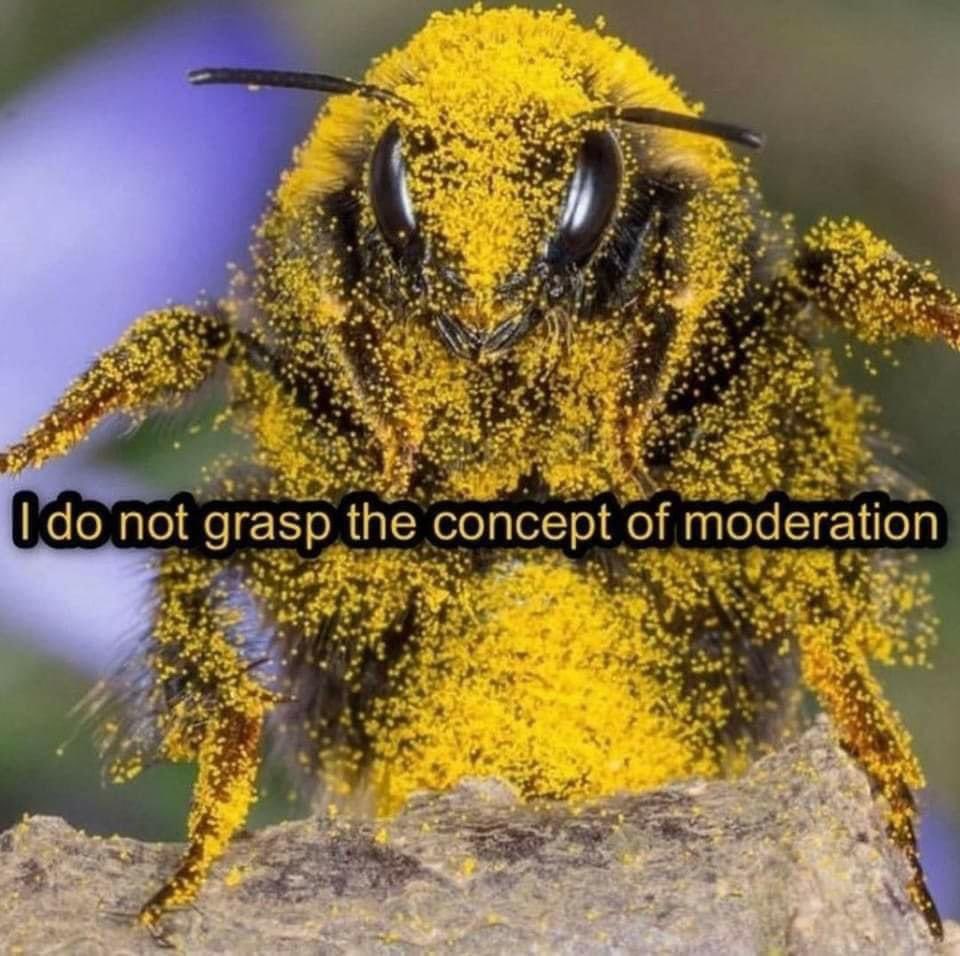 Image supplied by a user.