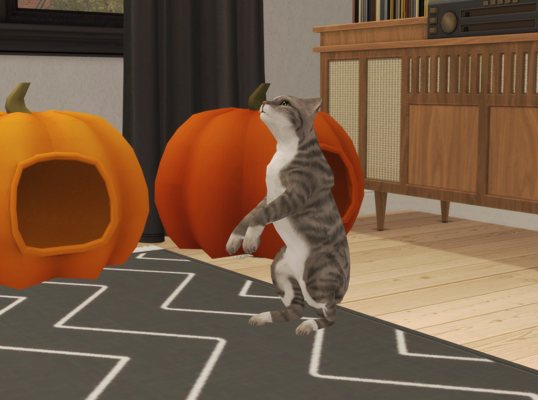 Sims2-EP9-RPC-2024-08-24-07-49-25-97