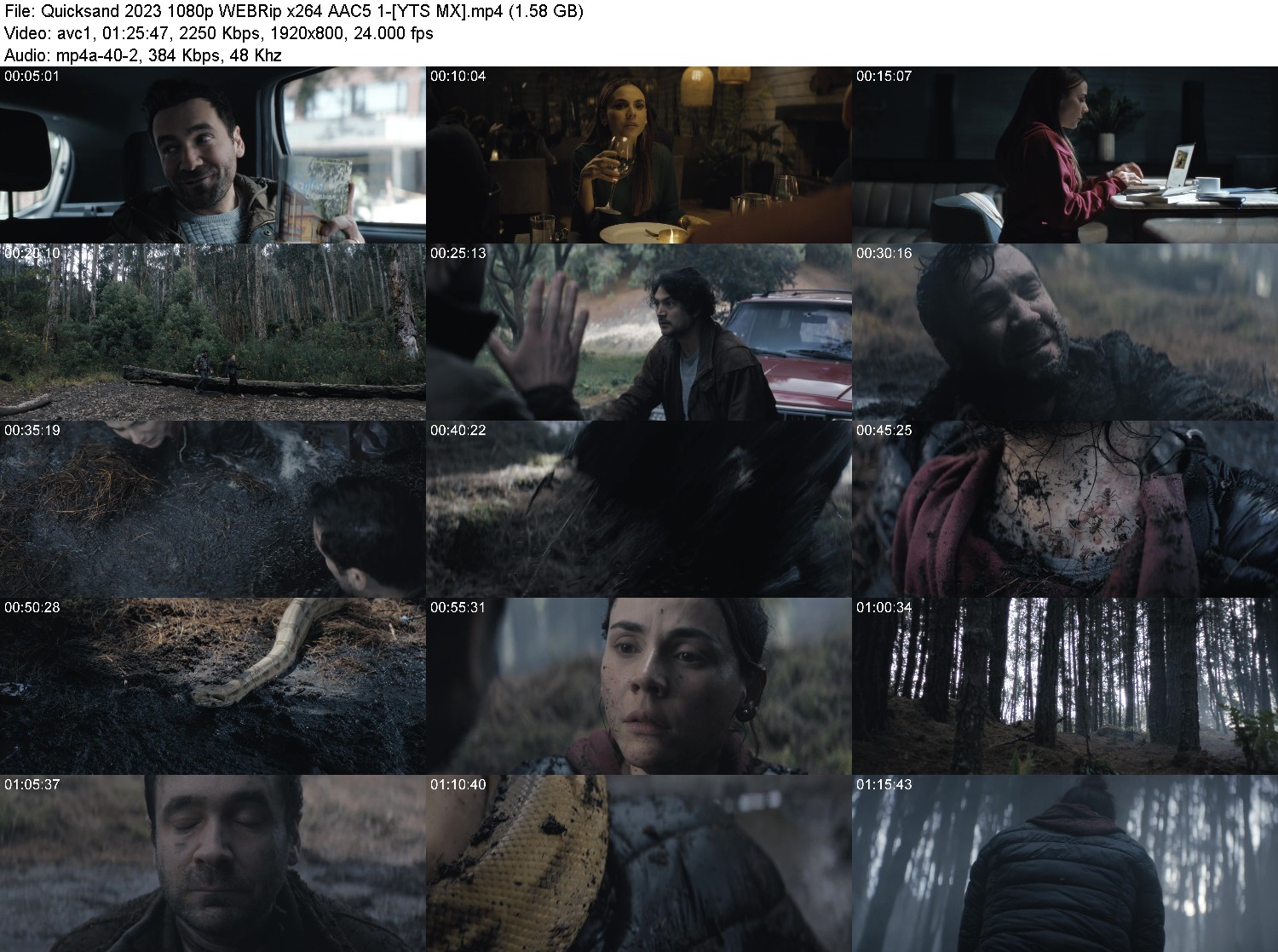 [Image: kaox2x58yp3v.jpg]