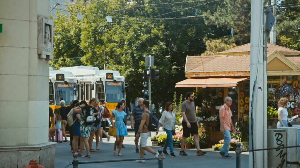 [Image: pm3v36zq4adx.png]