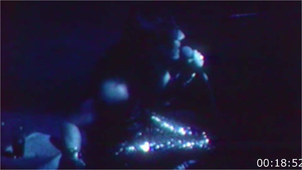 [Image: 003olspta3kh.png]