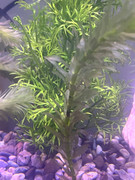 WhatsApp Image 2025-08-18 at 00.00.41