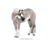 51149191-279D-4B59-B47D-4B6DAF920BFA