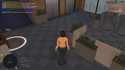UKRAINE-GTA-20-11-2025-15-35-28-(1)