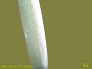 IMG-0893